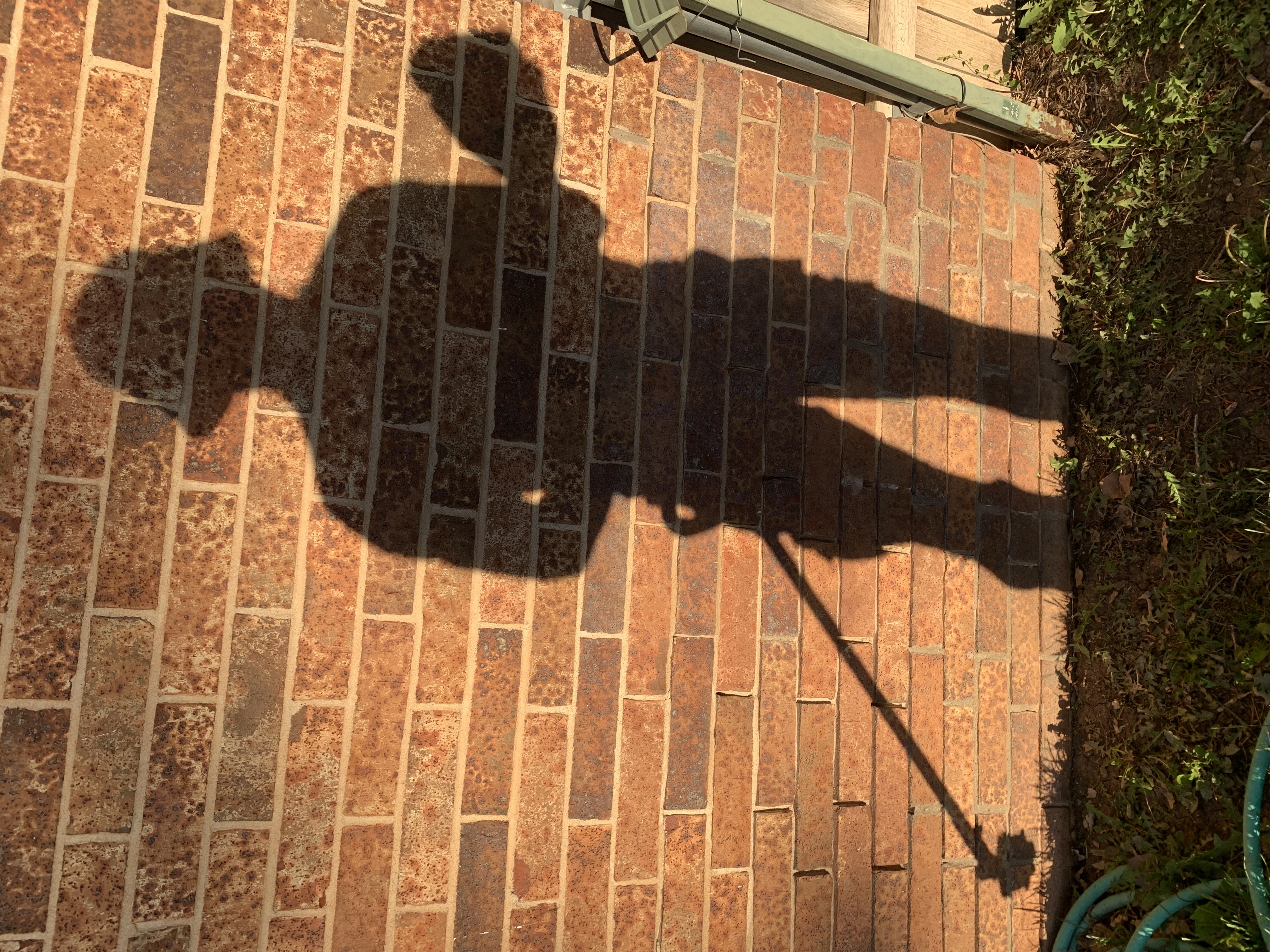 Lawn care work photo 1