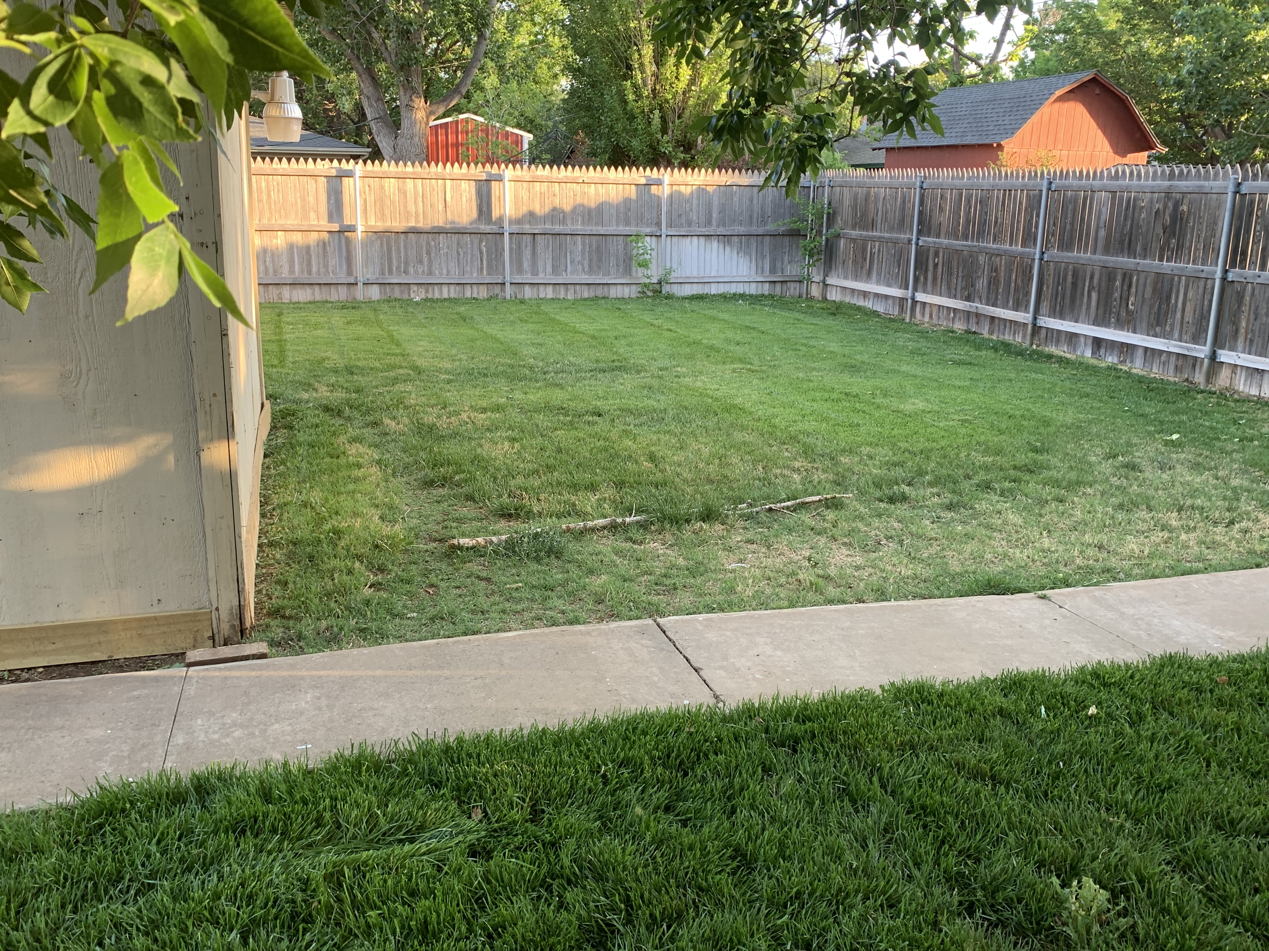 Lawn care work photo 2