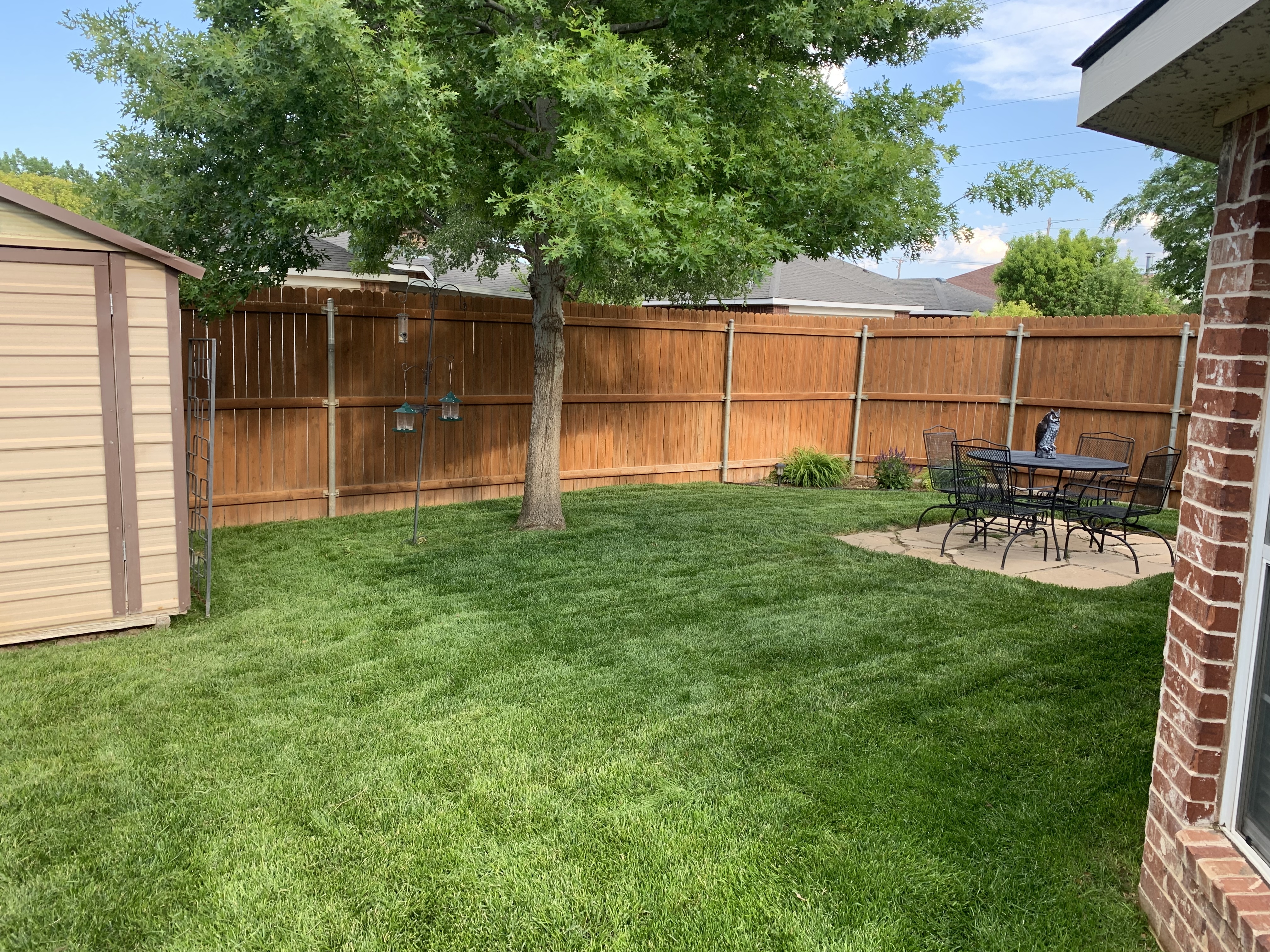 Lawn care work photo 3
