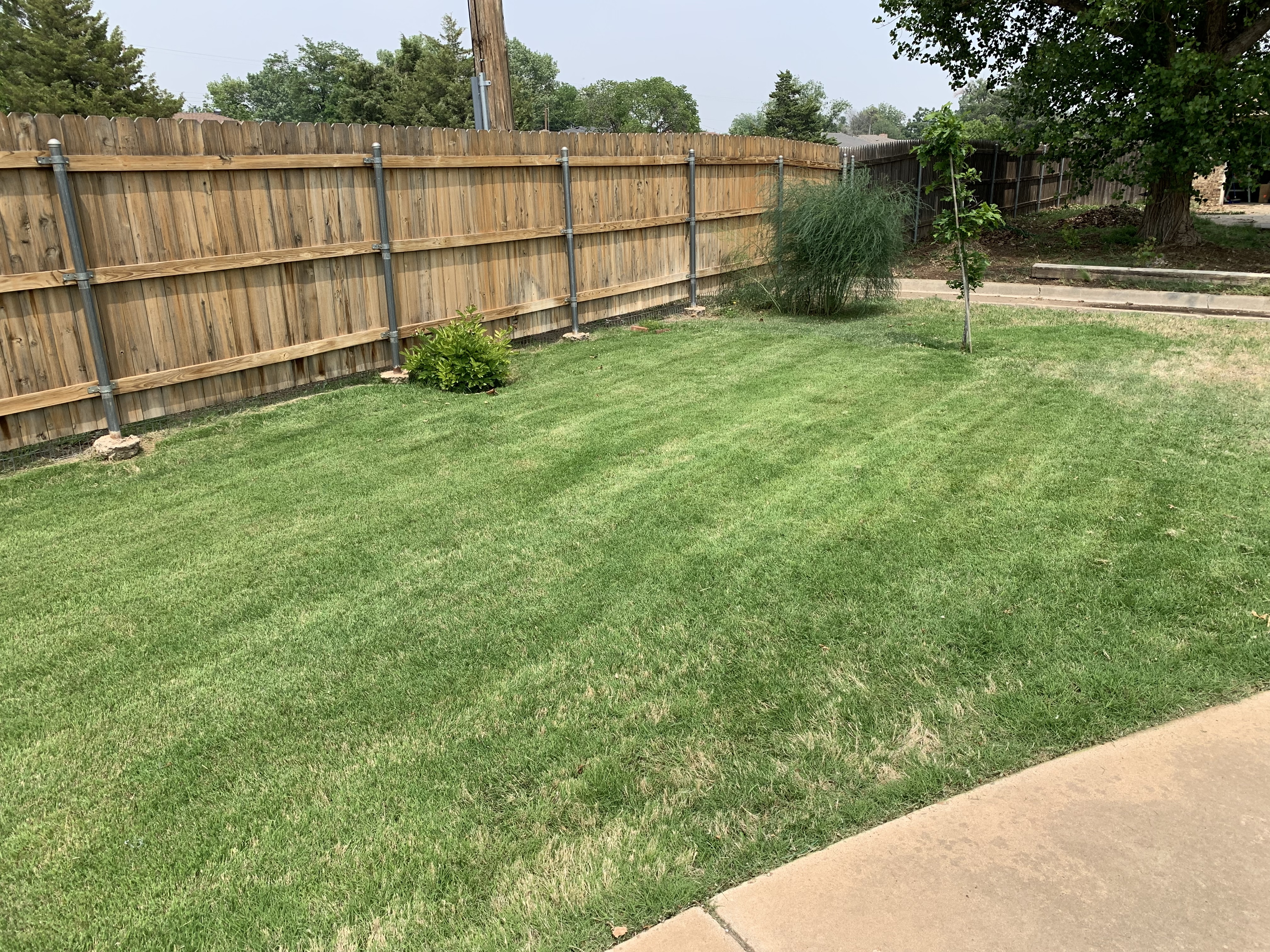 Lawn care work photo 5