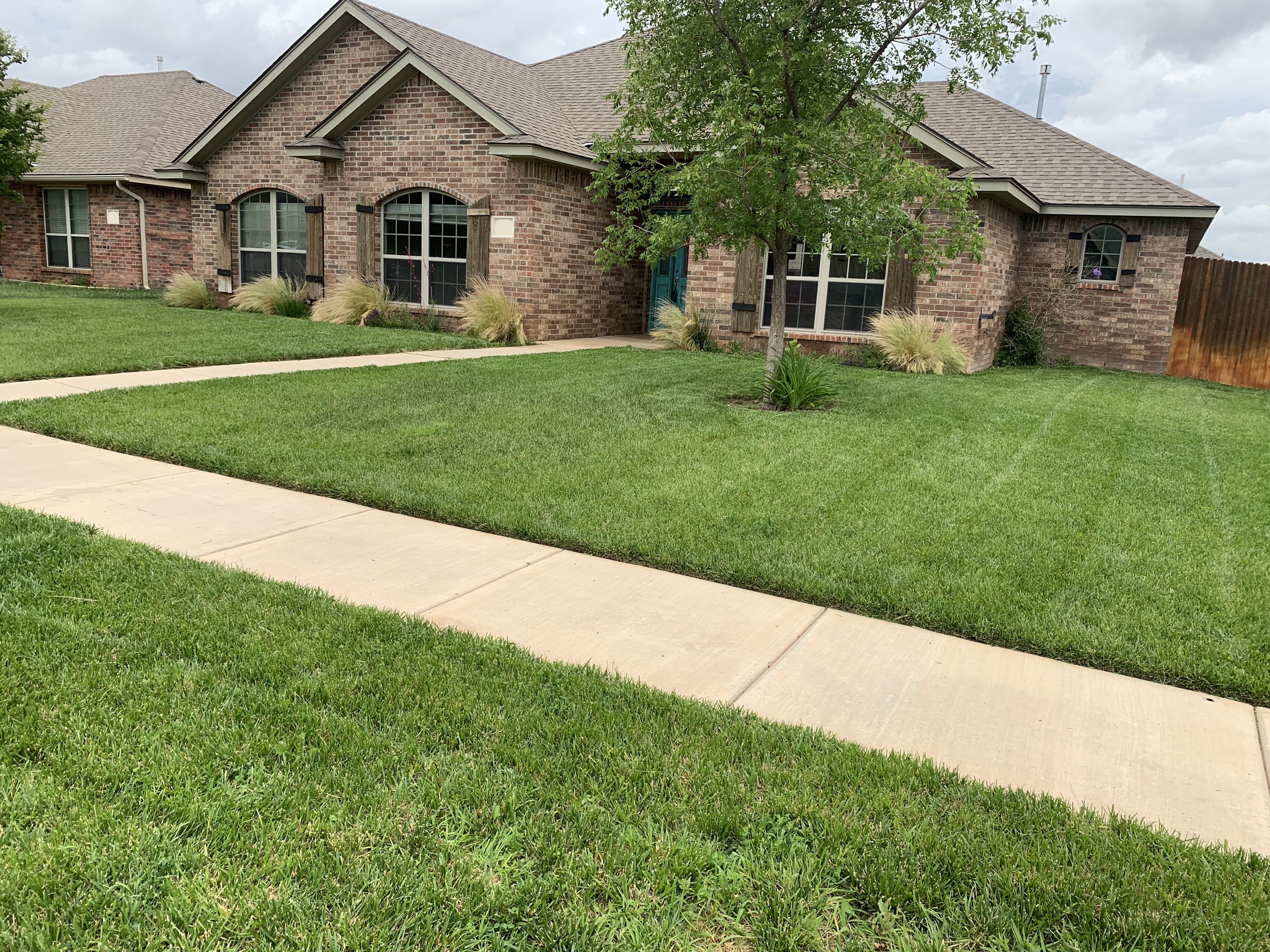 Lawn care work photo 6