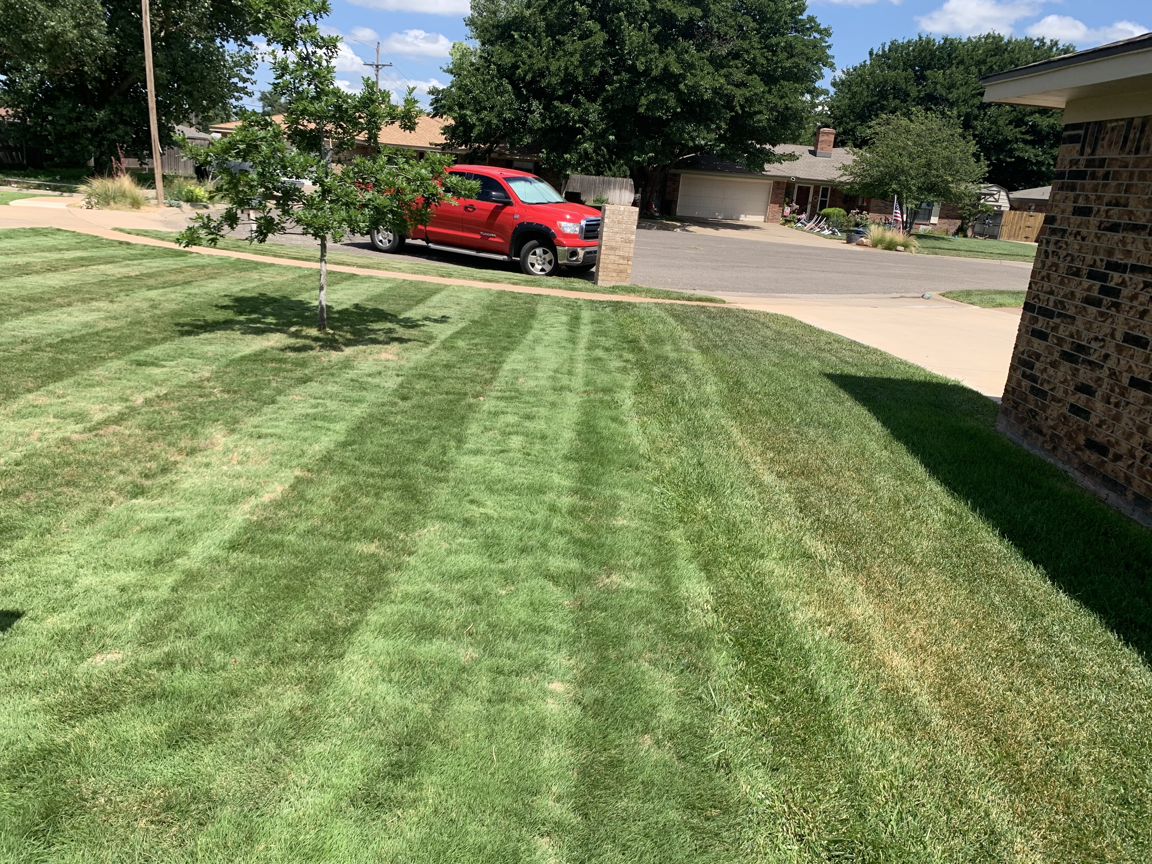 Lawn care work photo 11